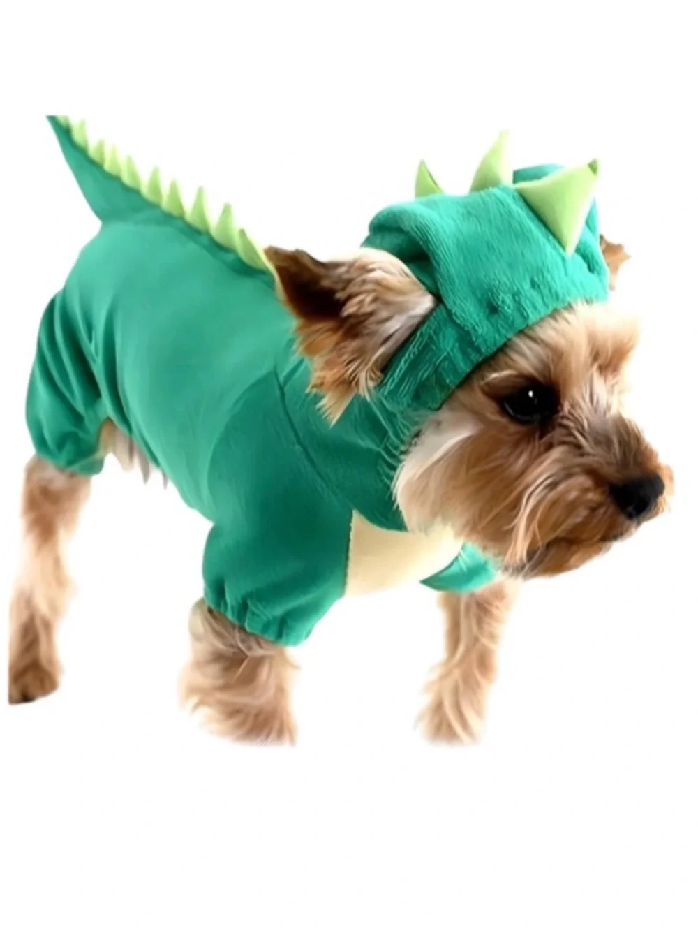 Dog Dinosaur Halloween Costume